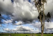 体育海报上的阿尔卑斯山.