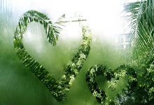 球色生香 ｜ 30岁早早退役的国乒大魔王，张怡宁嫁富豪一度被误解.