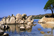 墨菲8次助攻伊萨克，为本赛季英超球员助攻同一队友最多.